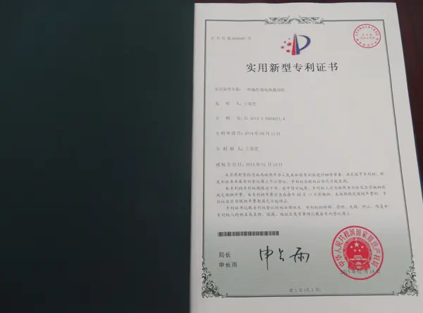 Honors and Qualifications